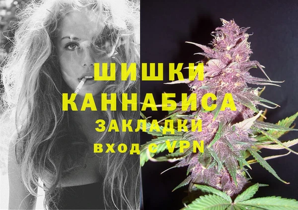 PSILOCYBIN Арсеньев
