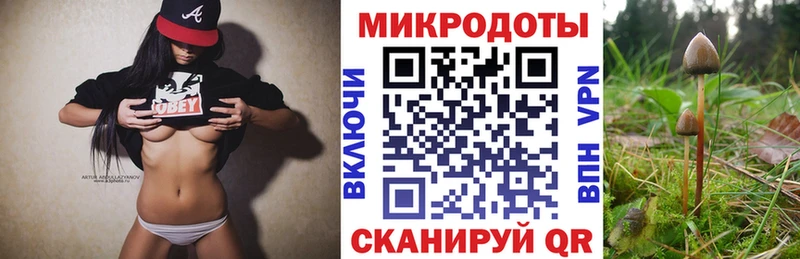 цена наркотик Белоозёрский Галлюциногенные грибы Psilocybine cubensis